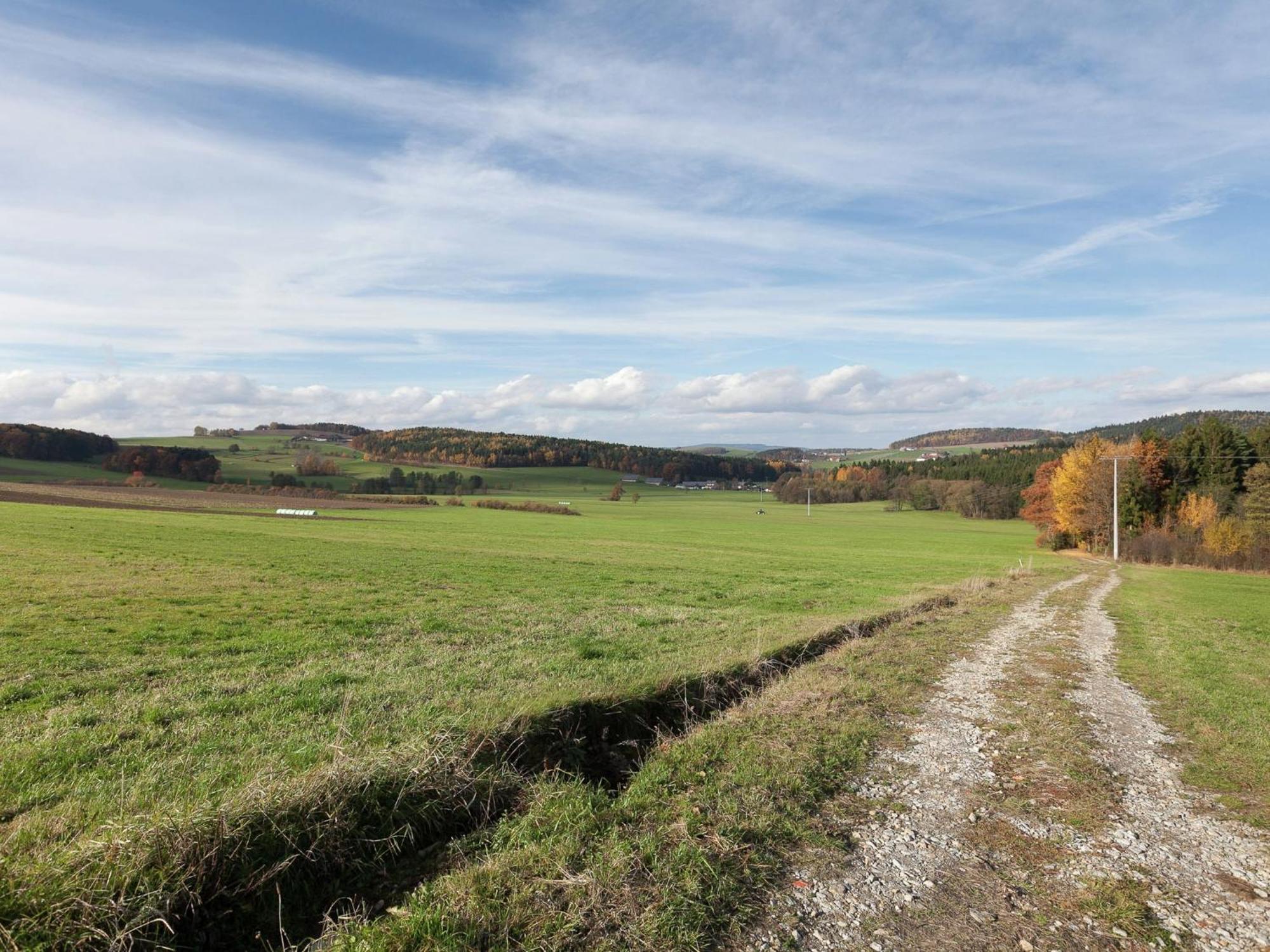 Flat On A Farm Near The Arber Ski Area Neukirchen beim Heiligen Blut Exteriér fotografie